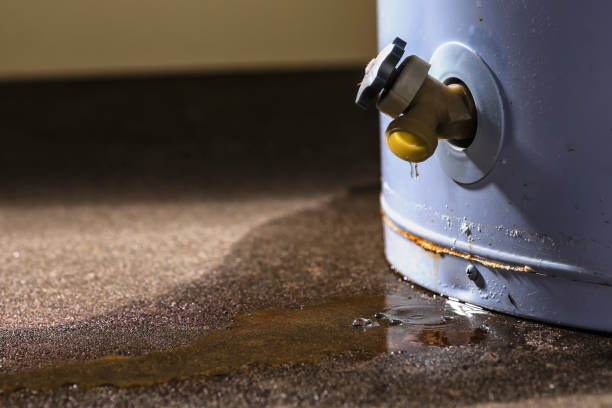 Best Water damage cleanup near me  in Cusseta, GA