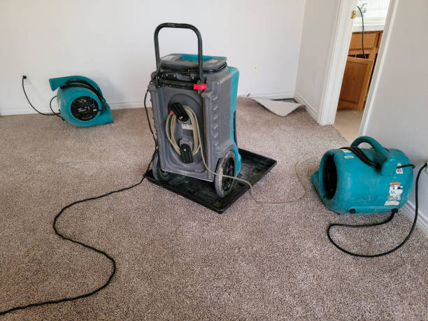 Best Sewage cleanup and water damage restoration  in Cusseta, GA
