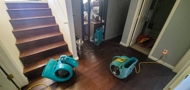 Best Water damage contractors near me  in Cusseta, GA