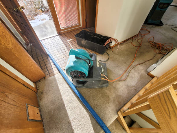 Best Carpet water damage restoration  in Cusseta, GA