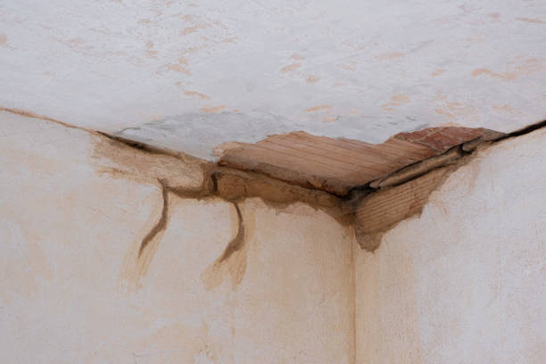 Best Flood damage cleanup  in Cusseta, GA