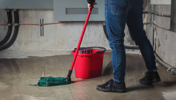 Best Water damage restoration company  in Cusseta, GA