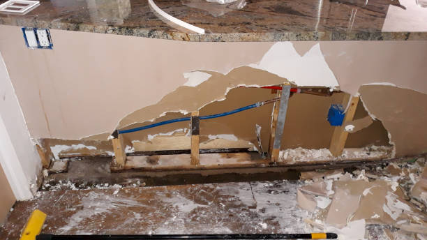Best Flooded house restoration  in Cusseta, GA