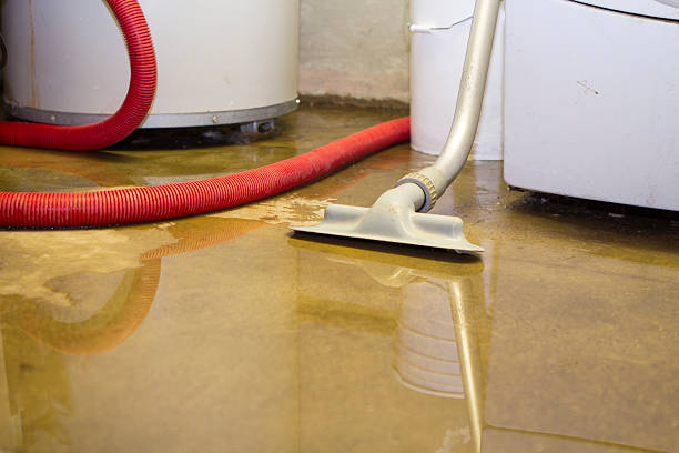 Best Ceiling water damage repair  in Cusseta, GA