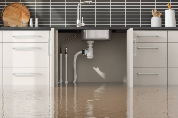 Best Local water damage restoration  in Cusseta, GA