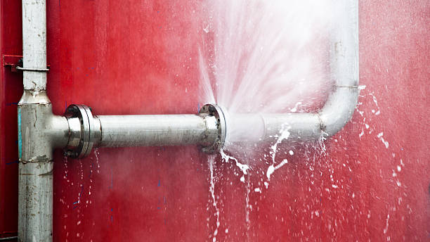 Best 24-hour water damage restoration  in Cusseta, GA
